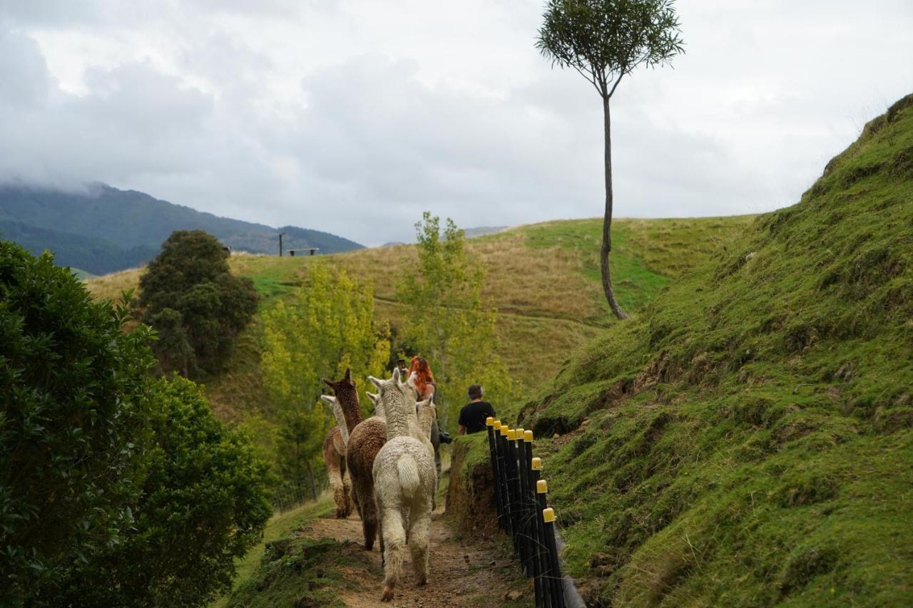 Luxury Stay, Alpaca Farm Paraparaumu Exterior foto