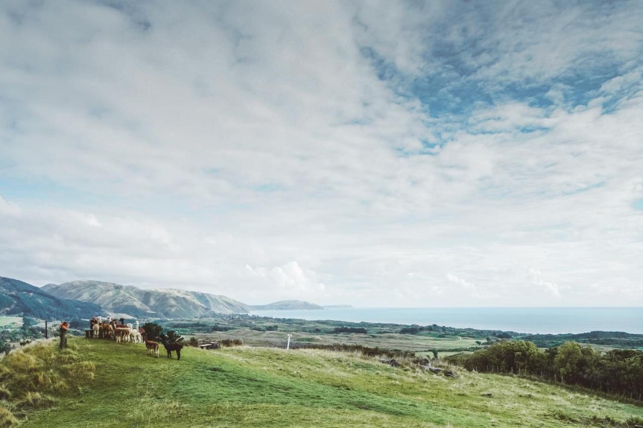 Luxury Stay, Alpaca Farm Paraparaumu Exterior foto